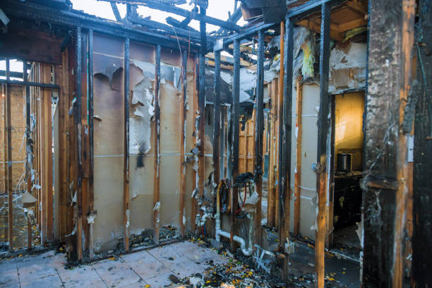 Professional Soot Cleanup technician working in Pegram, TN